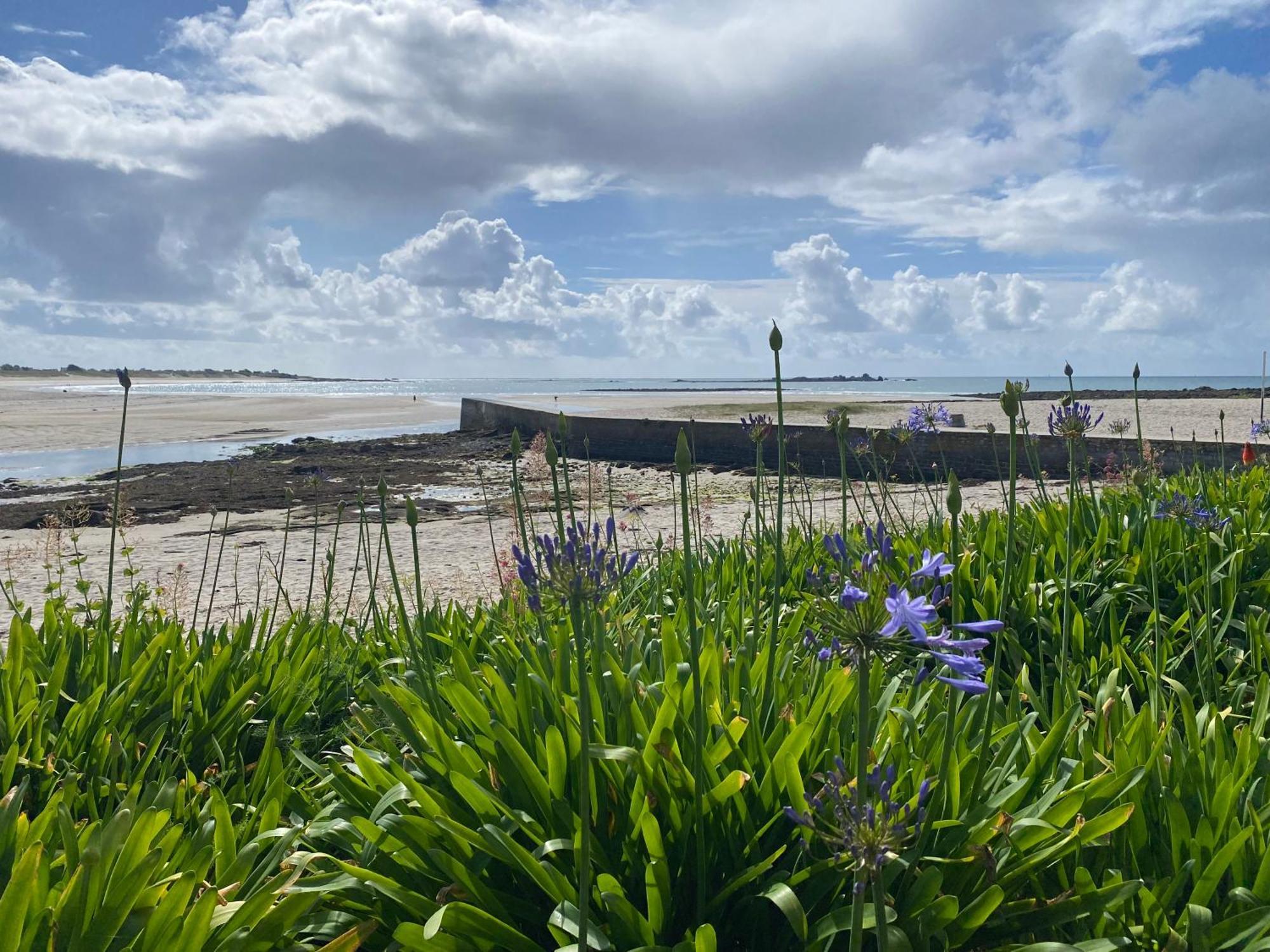 Villa Ster Et Mer Plobannalec Buitenkant foto